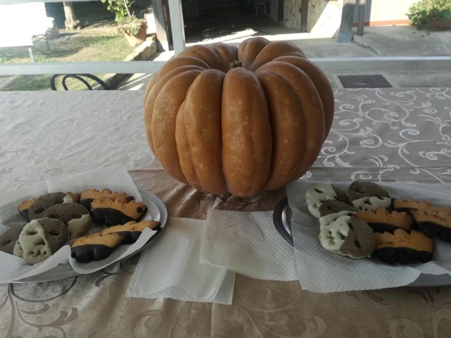 HALLOWEEN A VILLA MAGLIONE 01 novembre 2019